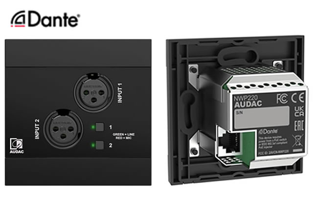 Network input panel - 2 x XLR + BT (4 CH)